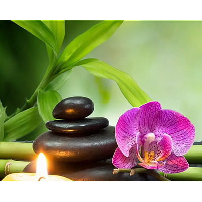 Serene Oasis Massage - Jacksonville | Beauty & Spas | Logo