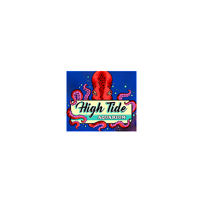 High Tide Aquarium - Tallahassee | Retail | Logo
