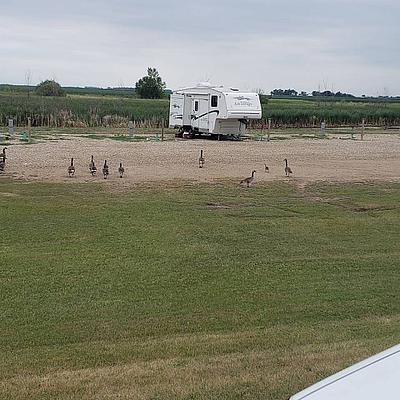 Bigfoot Campground & Trailer Park - Groton | Venues | Logo