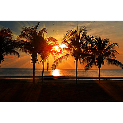 Be Inspired Counseling Services - Cocoa | Health & Medical | Logo