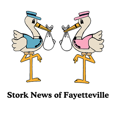 Stork News of Fayetteville - Fayetteville | Baby & Kids | Logo